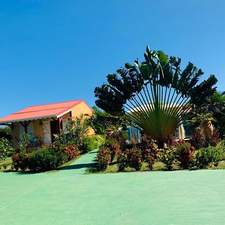 Les Palmes Du Moulin Villa Saint-Louis Kültér fotó