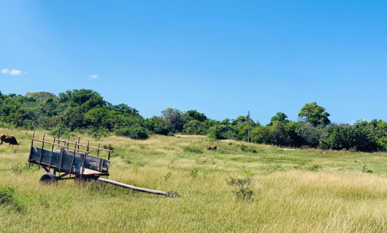 Les Palmes Du Moulin Villa Saint-Louis Kültér fotó