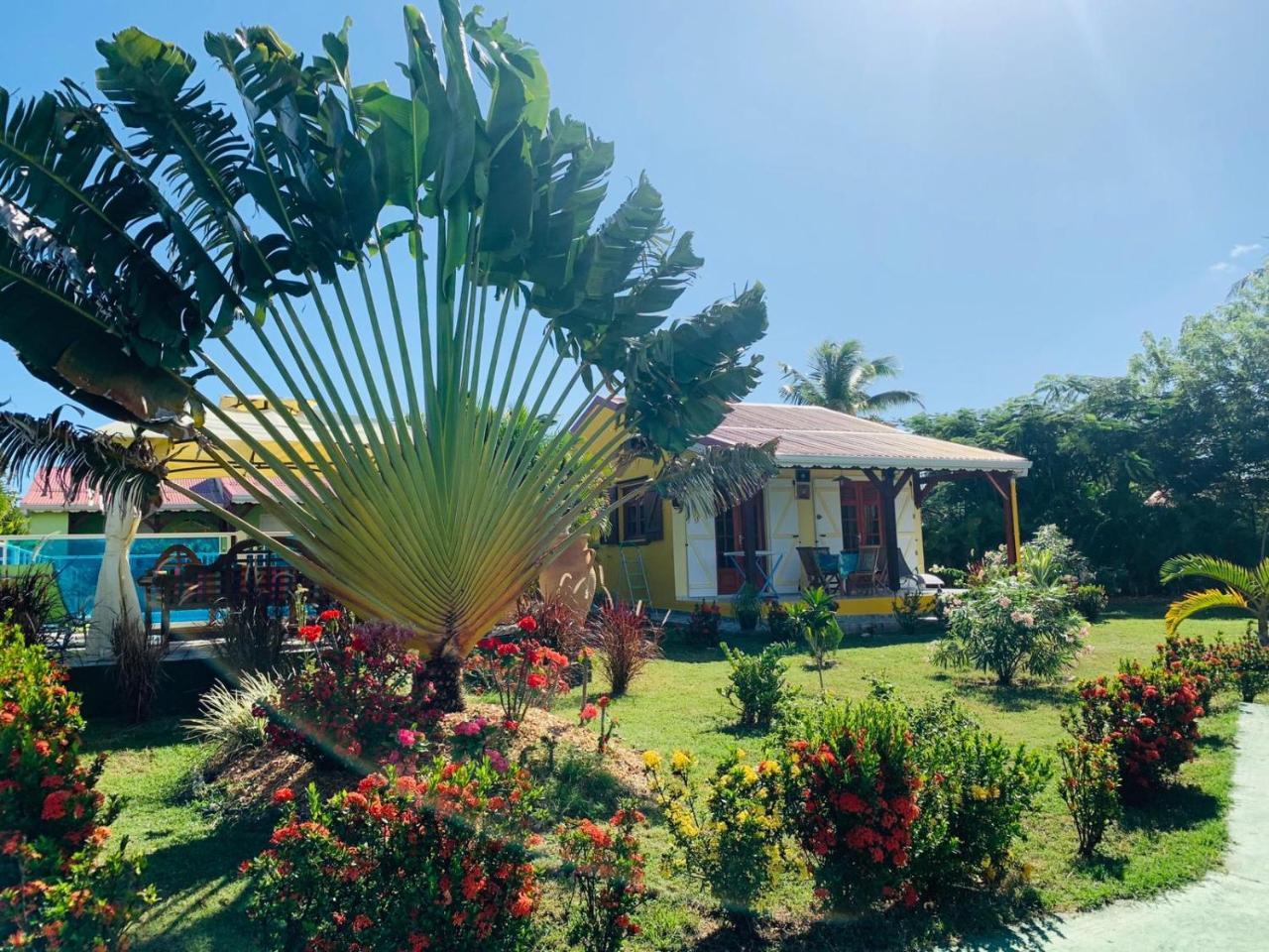 Les Palmes Du Moulin Villa Saint-Louis Kültér fotó