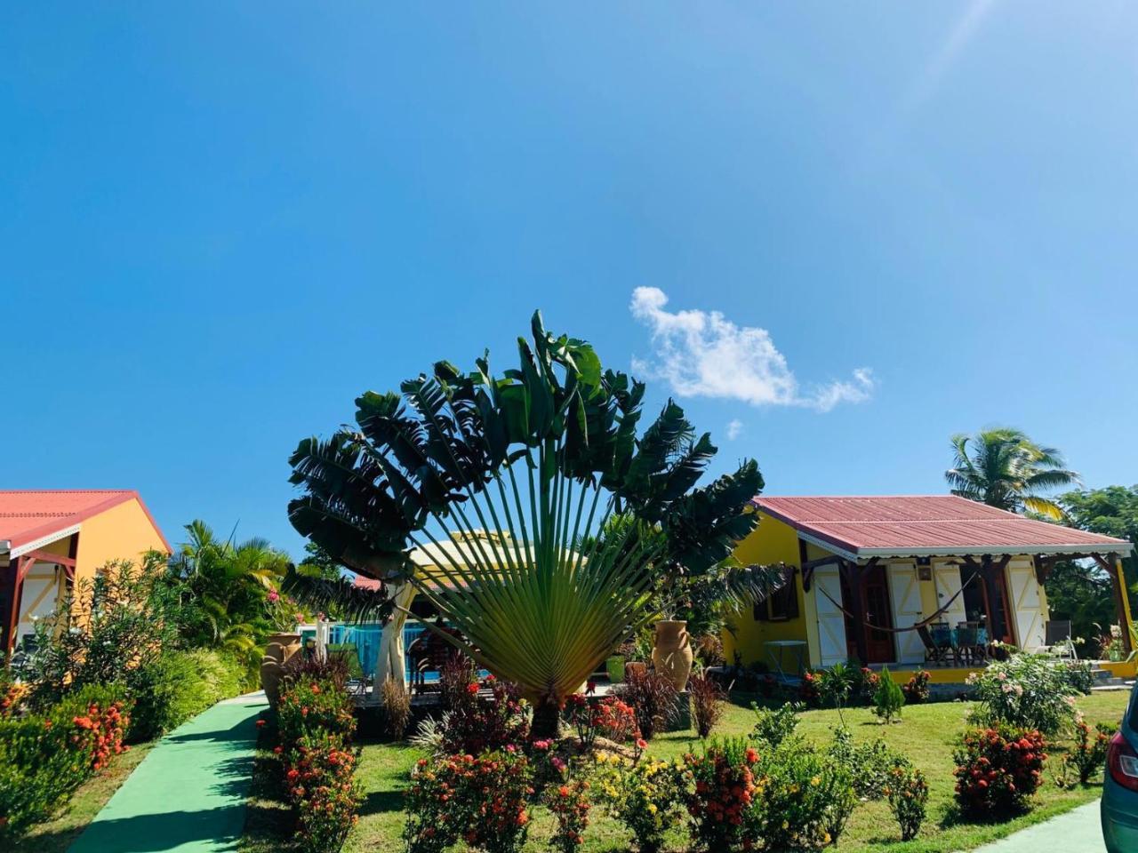 Les Palmes Du Moulin Villa Saint-Louis Kültér fotó